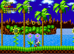 Sonic the Hedgehog 1 at SAGE 2010 Screenshot 1